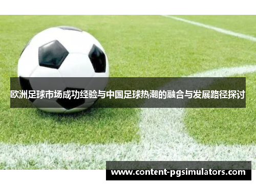欧洲足球市场成功经验与中国足球热潮的融合与发展路径探讨