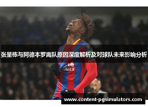 张呈栋与阿德本罗离队原因深度解析及对球队未来影响分析