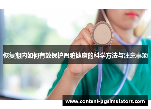 恢复期内如何有效保护肾脏健康的科学方法与注意事项