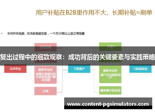 复出过程中的细致观察：成功背后的关键要素与实践策略