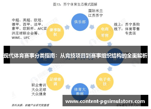 现代体育赛事分类指南：从竞技项目到赛事组织结构的全面解析