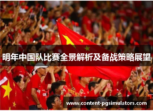 明年中国队比赛全景解析及备战策略展望