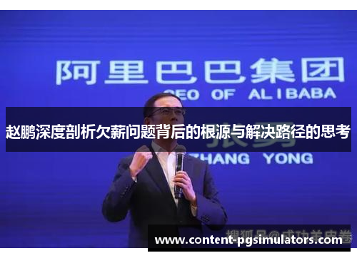 赵鹏深度剖析欠薪问题背后的根源与解决路径的思考