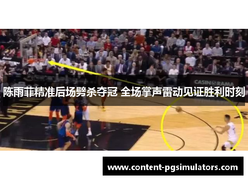 陈雨菲精准后场劈杀夺冠 全场掌声雷动见证胜利时刻