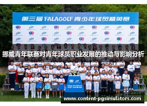 挪威青年联赛对青年球员职业发展的推动与影响分析