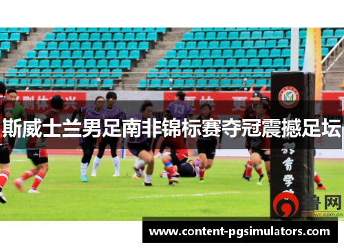 斯威士兰男足南非锦标赛夺冠震撼足坛