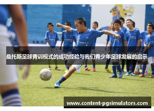 桑托斯足球青训模式的成功经验与我们青少年足球发展的启示