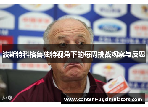 波斯特科格鲁独特视角下的每周挑战观察与反思